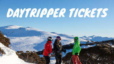 Image for: Day Tripper